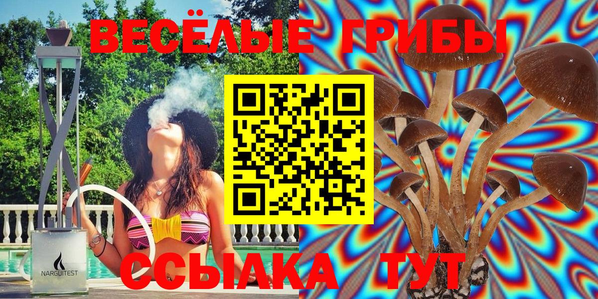 Псилоцибиновые грибы Psilocybine cubensis  сколько стоит  Кандалакша  Вход с VPN 