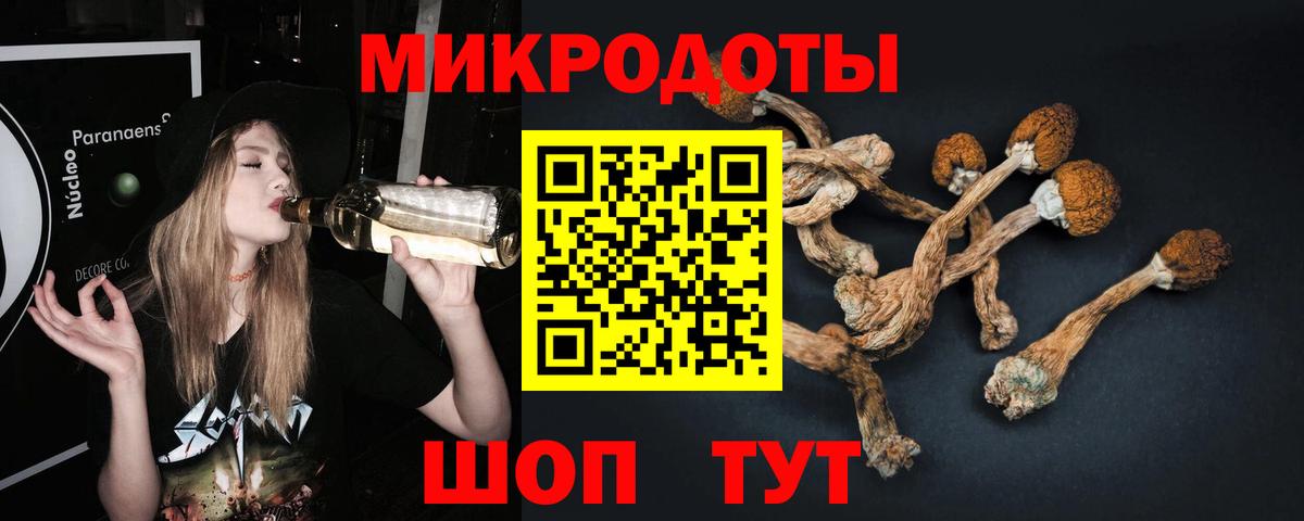 Галлюциногенные грибы GOLDEN TEACHER Кандалакша